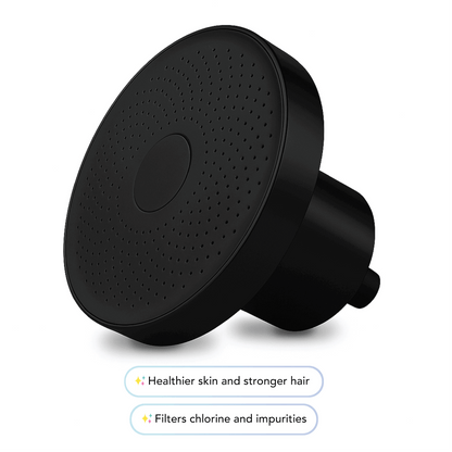 The Filtered Shower Head